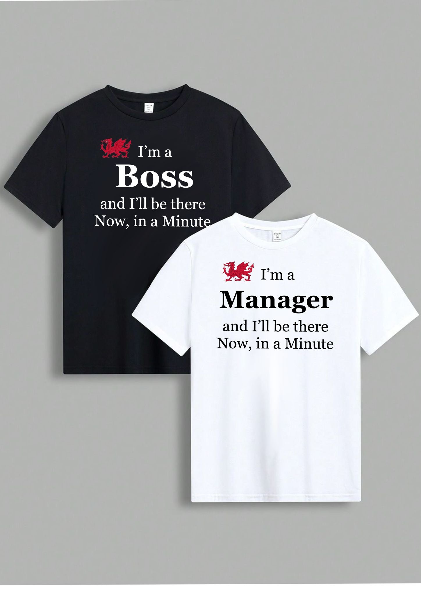 Welsh novelty t-shirts